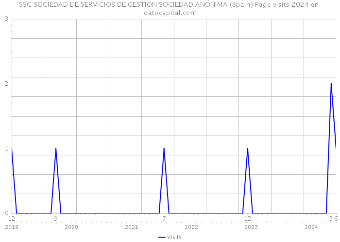 SSG SOCIEDAD DE SERVICIOS DE GESTION SOCIEDAD ANÓNIMA (Spain) Page visits 2024 