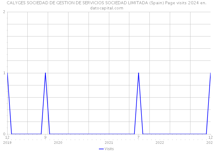 CALYGES SOCIEDAD DE GESTION DE SERVICIOS SOCIEDAD LIMITADA (Spain) Page visits 2024 
