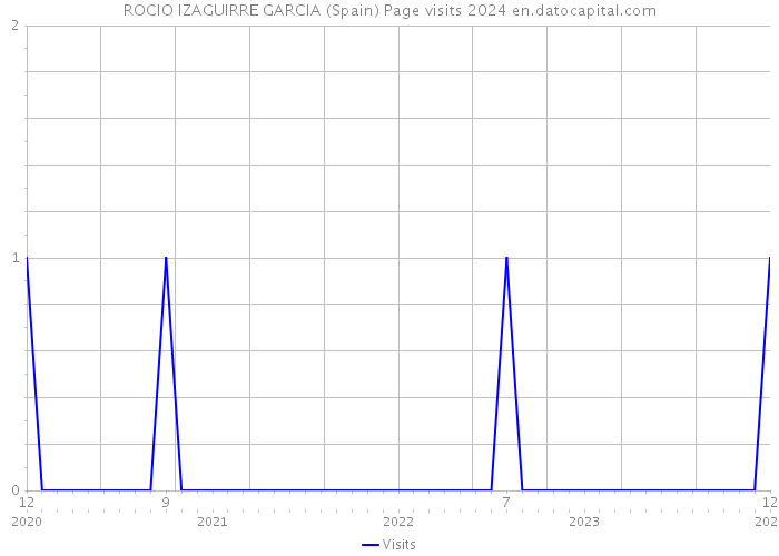 ROCIO IZAGUIRRE GARCIA (Spain) Page visits 2024 