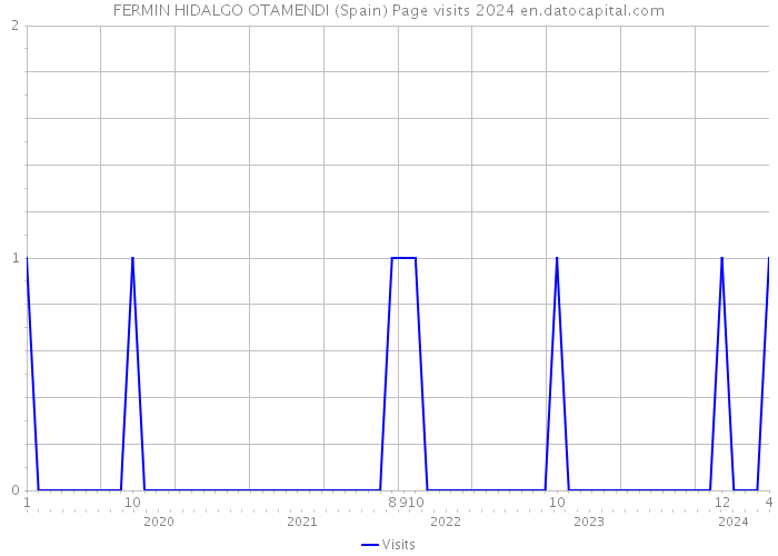 FERMIN HIDALGO OTAMENDI (Spain) Page visits 2024 