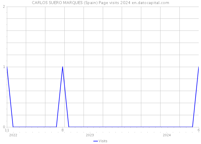 CARLOS SUERO MARQUES (Spain) Page visits 2024 