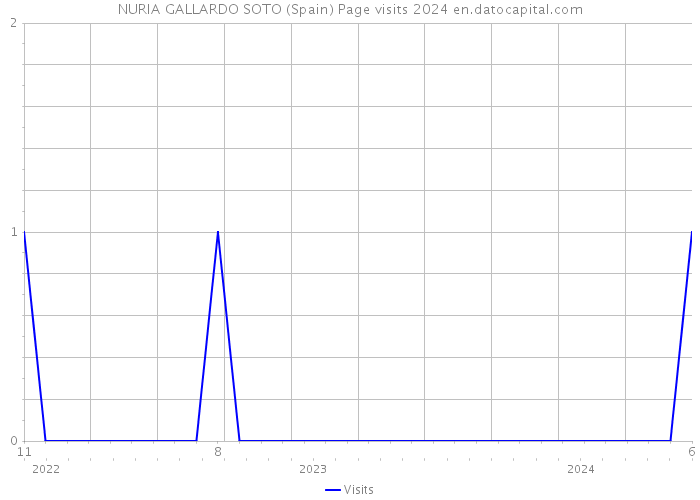 NURIA GALLARDO SOTO (Spain) Page visits 2024 