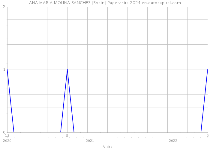 ANA MARIA MOLINA SANCHEZ (Spain) Page visits 2024 
