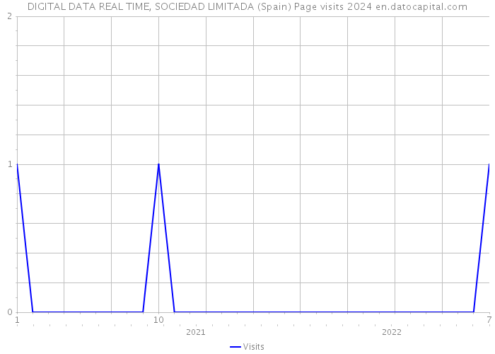 DIGITAL DATA REAL TIME, SOCIEDAD LIMITADA (Spain) Page visits 2024 