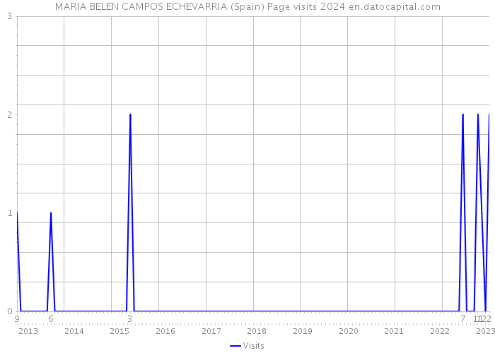 MARIA BELEN CAMPOS ECHEVARRIA (Spain) Page visits 2024 