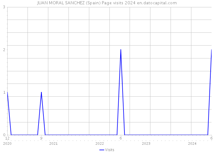 JUAN MORAL SANCHEZ (Spain) Page visits 2024 