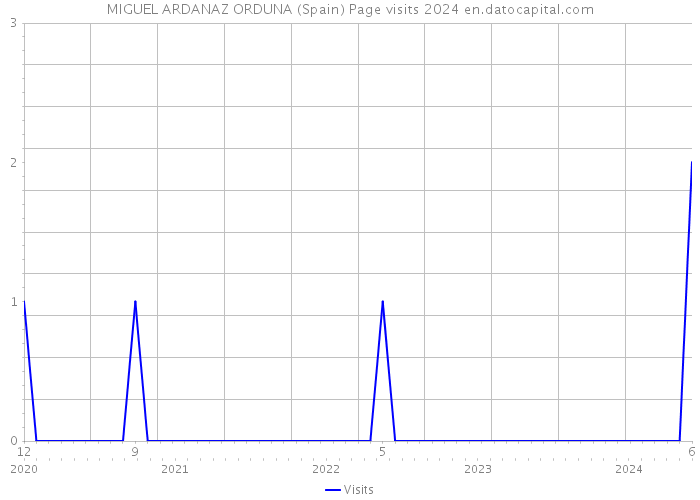 MIGUEL ARDANAZ ORDUNA (Spain) Page visits 2024 