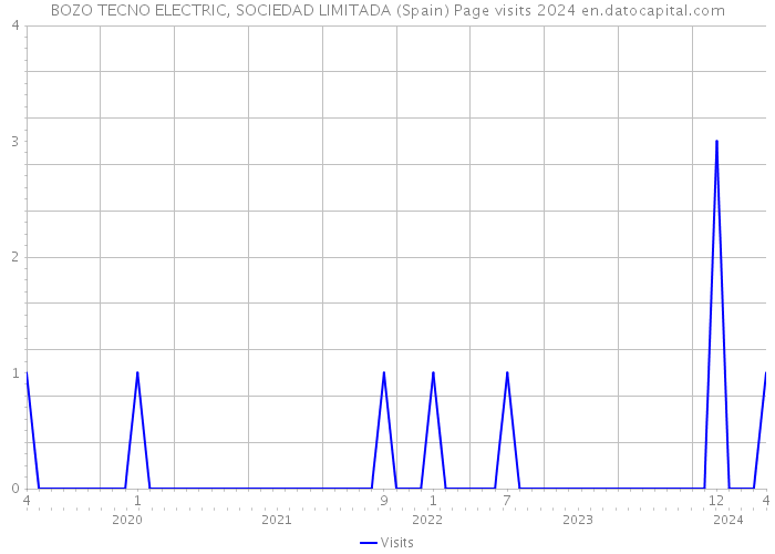 BOZO TECNO ELECTRIC, SOCIEDAD LIMITADA (Spain) Page visits 2024 