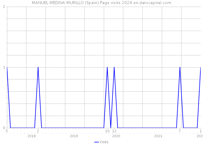 MANUEL MEDINA MURILLO (Spain) Page visits 2024 
