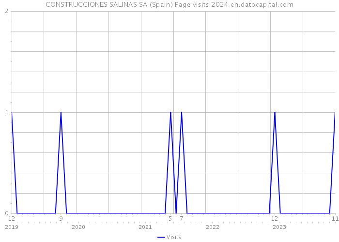 CONSTRUCCIONES SALINAS SA (Spain) Page visits 2024 