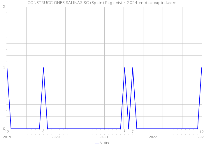CONSTRUCCIONES SALINAS SC (Spain) Page visits 2024 