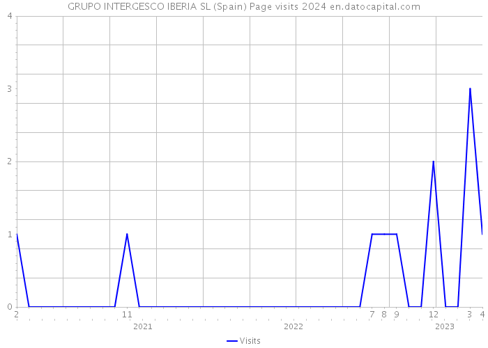 GRUPO INTERGESCO IBERIA SL (Spain) Page visits 2024 