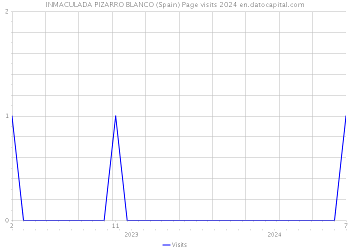 INMACULADA PIZARRO BLANCO (Spain) Page visits 2024 