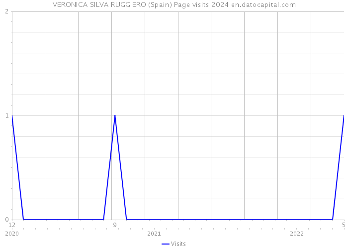 VERONICA SILVA RUGGIERO (Spain) Page visits 2024 