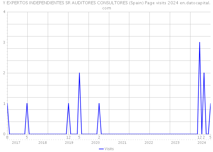 Y EXPERTOS INDEPENDIENTES SR AUDITORES CONSULTORES (Spain) Page visits 2024 