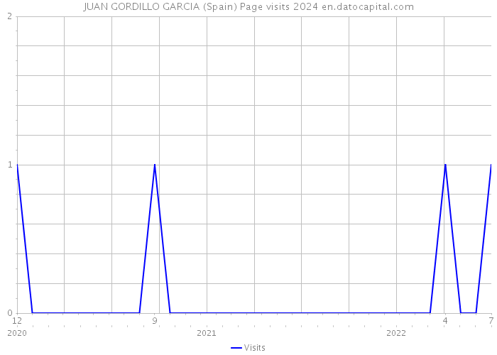 JUAN GORDILLO GARCIA (Spain) Page visits 2024 
