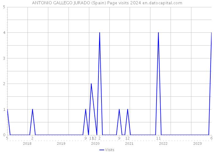 ANTONIO GALLEGO JURADO (Spain) Page visits 2024 