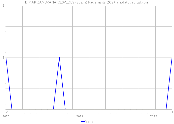 DIMAR ZAMBRANA CESPEDES (Spain) Page visits 2024 
