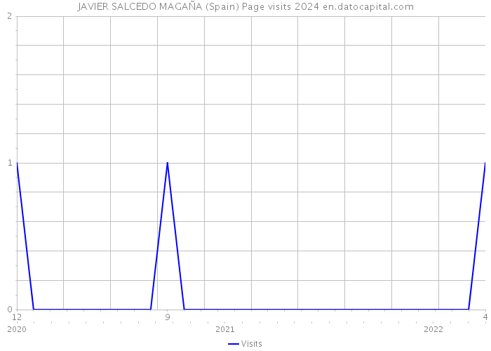 JAVIER SALCEDO MAGAÑA (Spain) Page visits 2024 