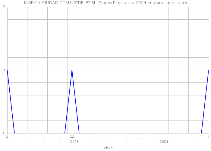 MORA Y CIUDAD COMBUSTIBLES SL (Spain) Page visits 2024 