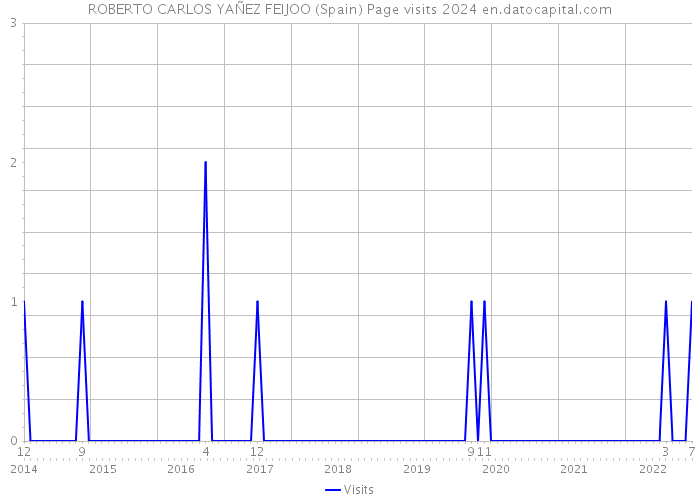 ROBERTO CARLOS YAÑEZ FEIJOO (Spain) Page visits 2024 