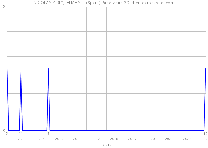 NICOLAS Y RIQUELME S.L. (Spain) Page visits 2024 