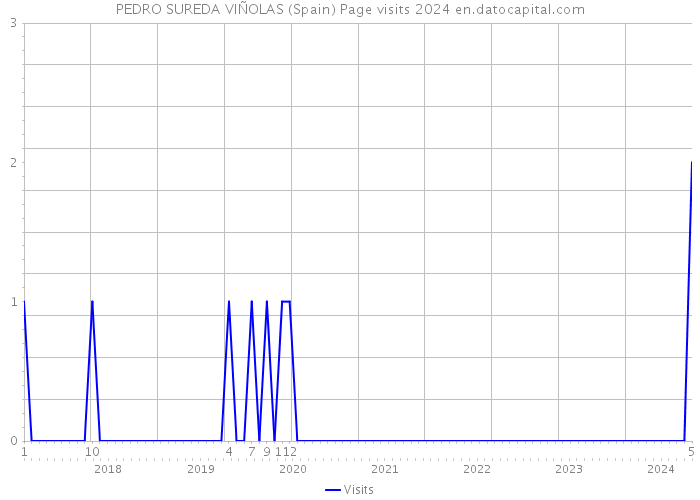 PEDRO SUREDA VIÑOLAS (Spain) Page visits 2024 