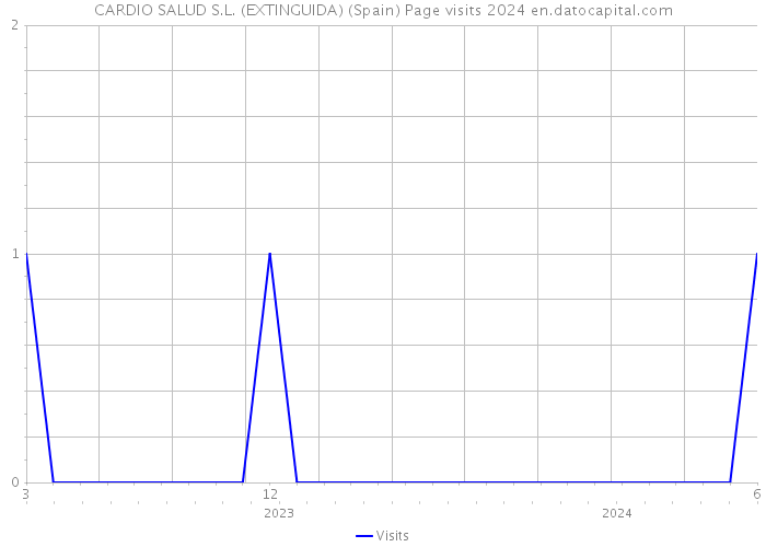 CARDIO SALUD S.L. (EXTINGUIDA) (Spain) Page visits 2024 