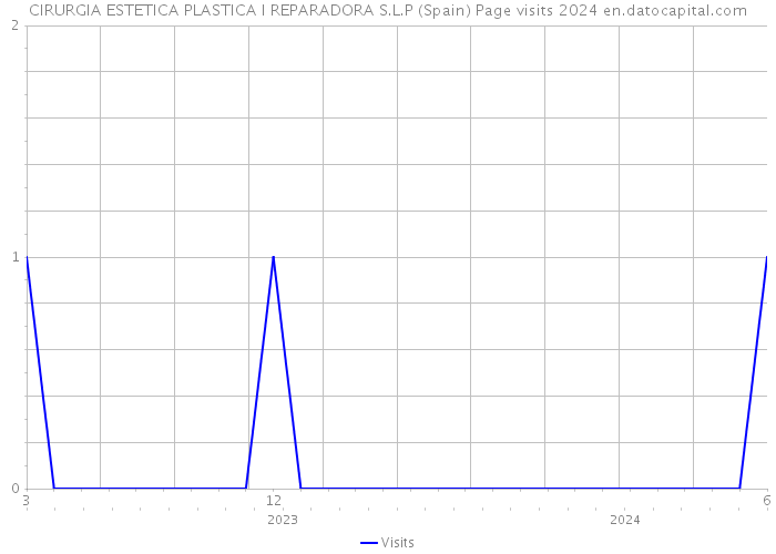 CIRURGIA ESTETICA PLASTICA I REPARADORA S.L.P (Spain) Page visits 2024 