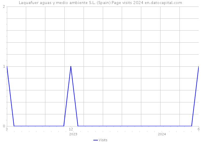 Laquafuer aguas y medio ambiente S.L. (Spain) Page visits 2024 