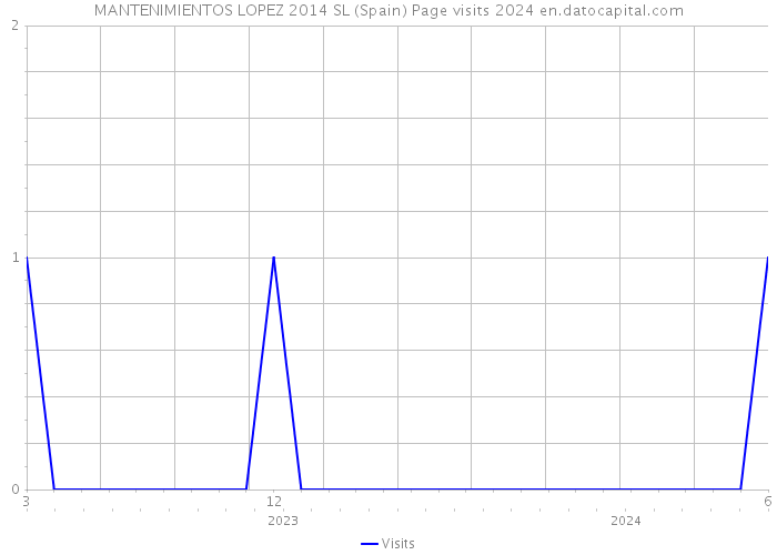 MANTENIMIENTOS LOPEZ 2014 SL (Spain) Page visits 2024 
