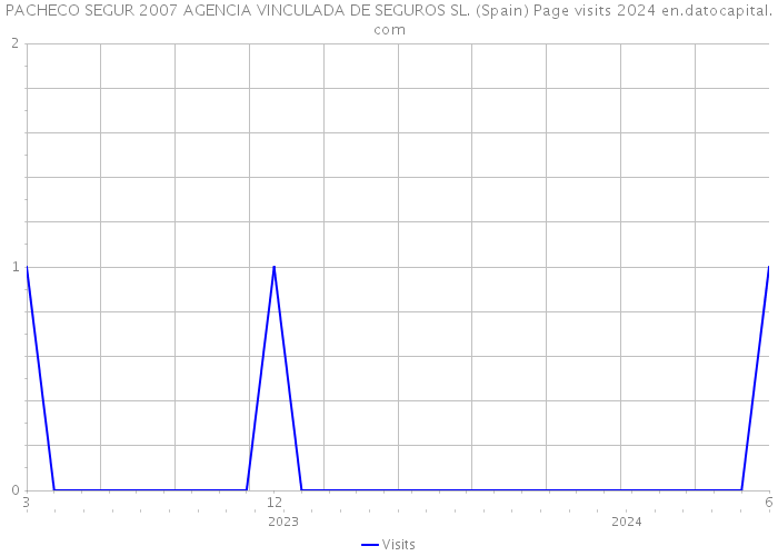 PACHECO SEGUR 2007 AGENCIA VINCULADA DE SEGUROS SL. (Spain) Page visits 2024 