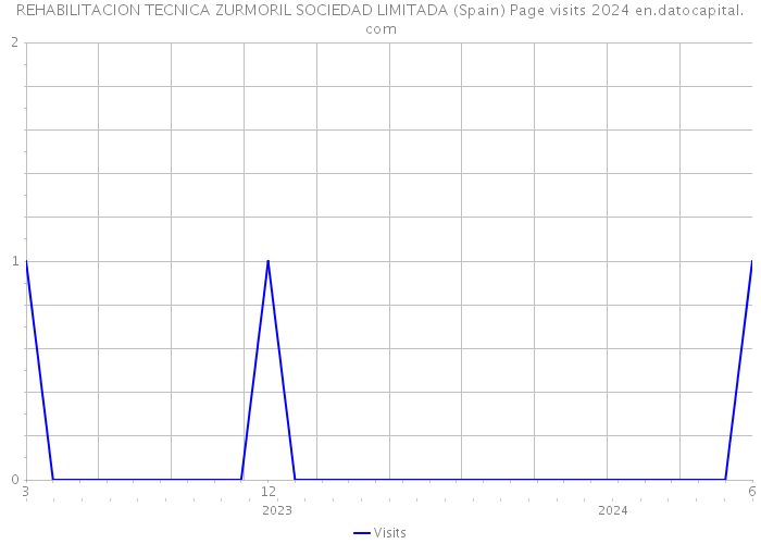 REHABILITACION TECNICA ZURMORIL SOCIEDAD LIMITADA (Spain) Page visits 2024 
