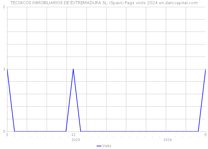 TECNICOS INMOBILIARIOS DE EXTREMADURA SL. (Spain) Page visits 2024 