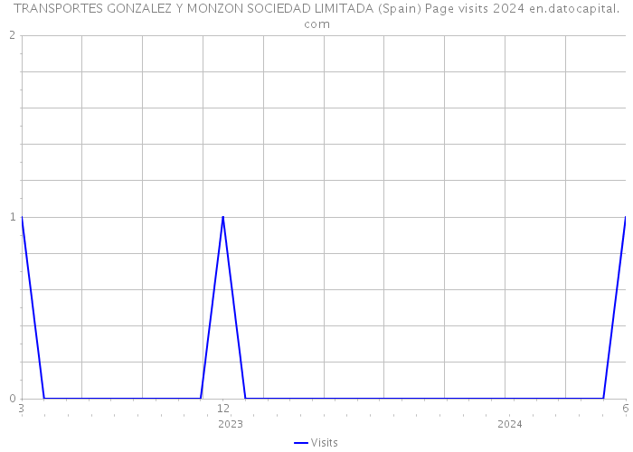 TRANSPORTES GONZALEZ Y MONZON SOCIEDAD LIMITADA (Spain) Page visits 2024 