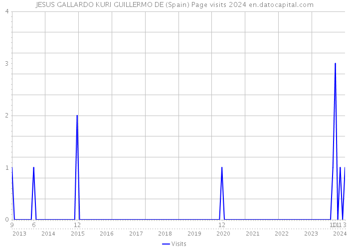 JESUS GALLARDO KURI GUILLERMO DE (Spain) Page visits 2024 