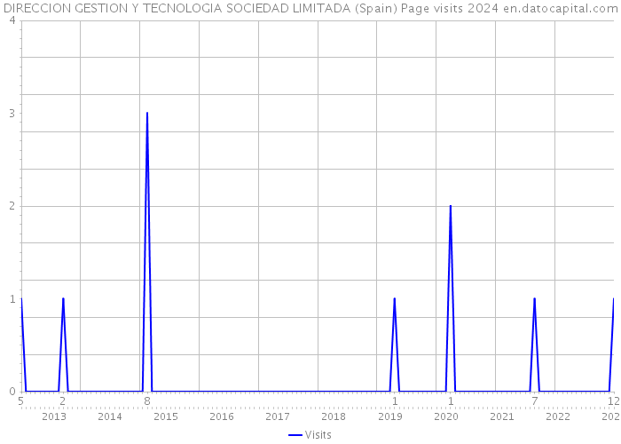 DIRECCION GESTION Y TECNOLOGIA SOCIEDAD LIMITADA (Spain) Page visits 2024 