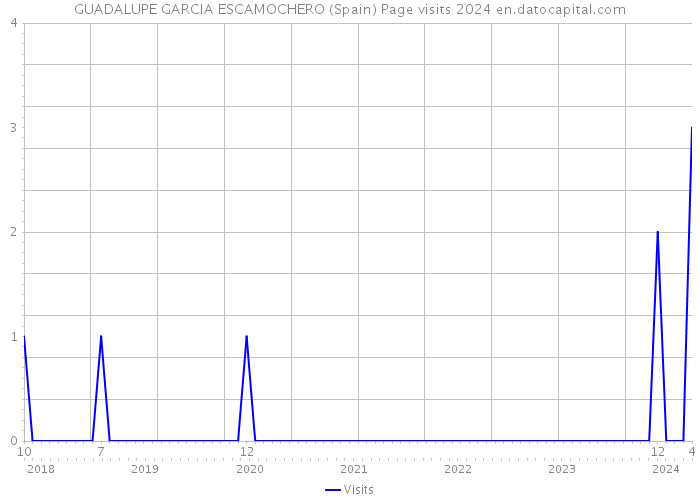 GUADALUPE GARCIA ESCAMOCHERO (Spain) Page visits 2024 