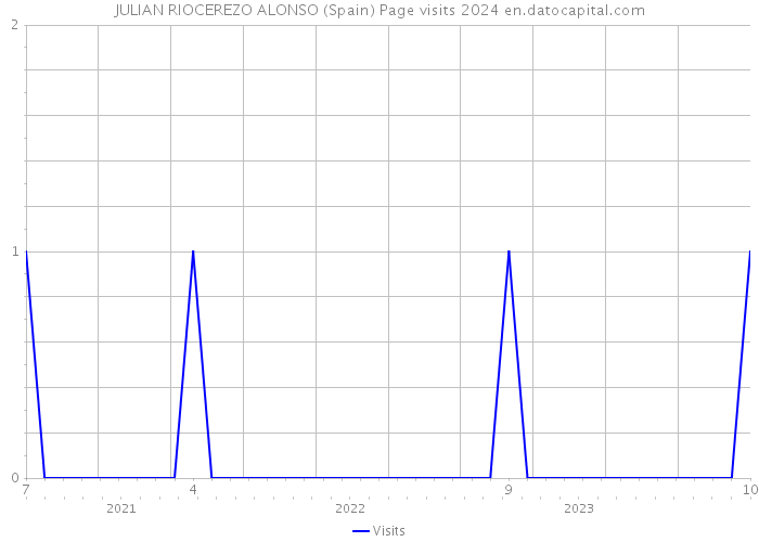 JULIAN RIOCEREZO ALONSO (Spain) Page visits 2024 