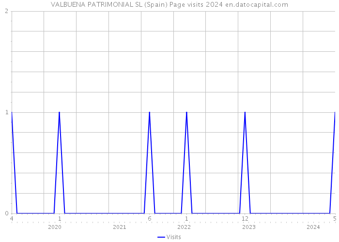 VALBUENA PATRIMONIAL SL (Spain) Page visits 2024 