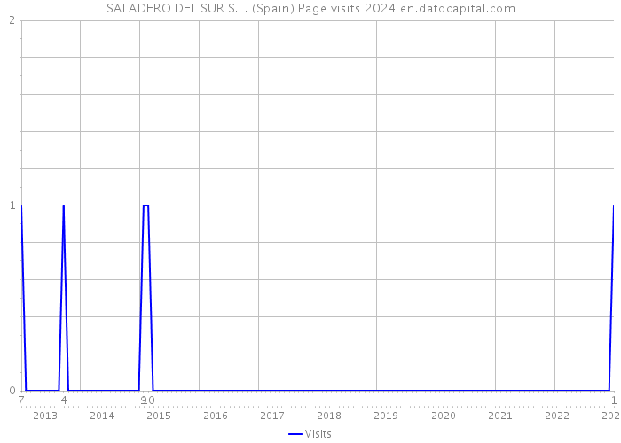 SALADERO DEL SUR S.L. (Spain) Page visits 2024 