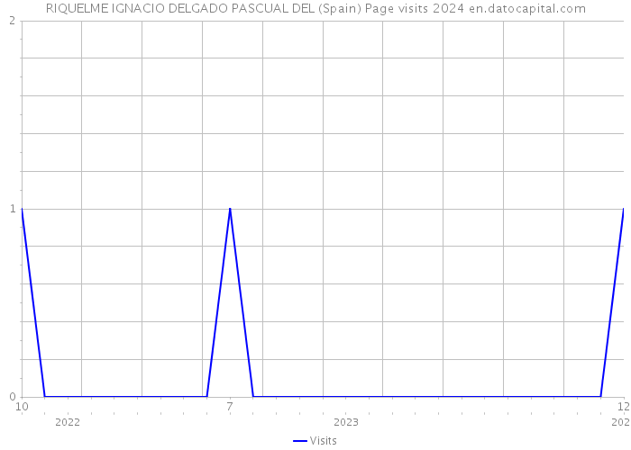 RIQUELME IGNACIO DELGADO PASCUAL DEL (Spain) Page visits 2024 