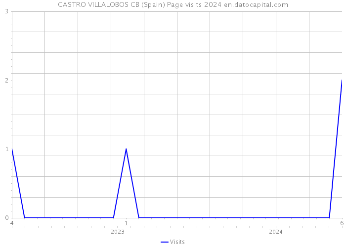 CASTRO VILLALOBOS CB (Spain) Page visits 2024 