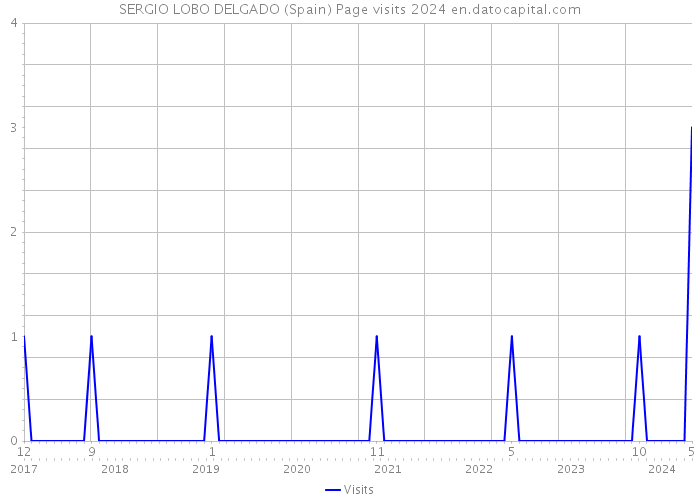 SERGIO LOBO DELGADO (Spain) Page visits 2024 