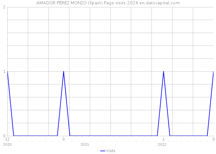 AMADOR PEREZ MONZO (Spain) Page visits 2024 