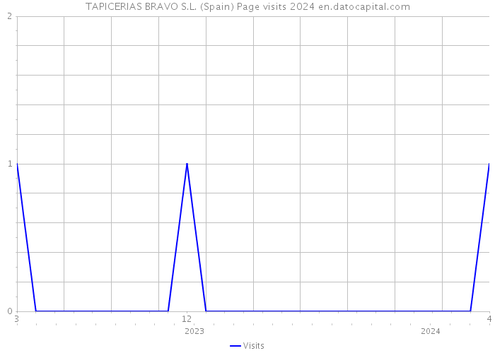 TAPICERIAS BRAVO S.L. (Spain) Page visits 2024 