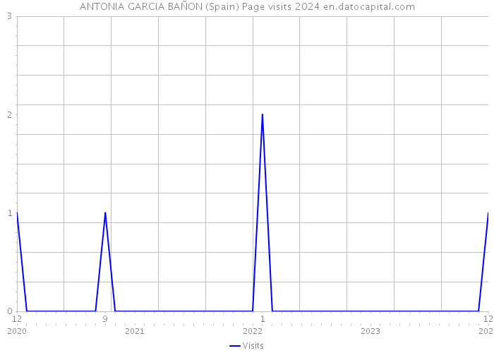 ANTONIA GARCIA BAÑON (Spain) Page visits 2024 