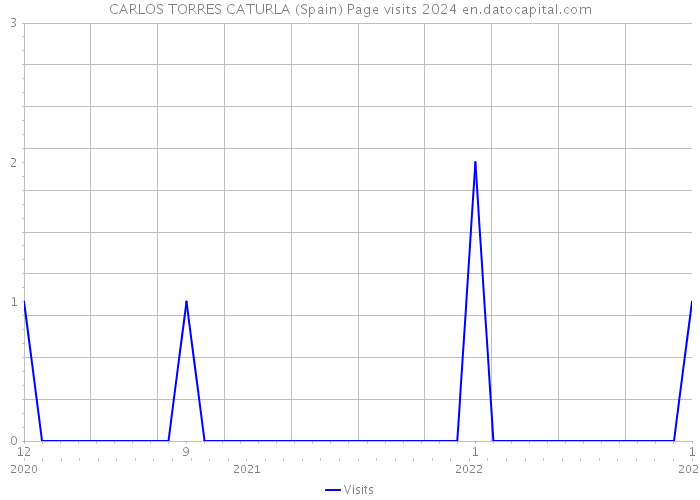 CARLOS TORRES CATURLA (Spain) Page visits 2024 