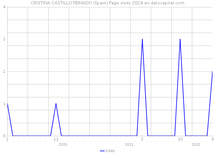 CRISTINA CASTILLO PEINADO (Spain) Page visits 2024 