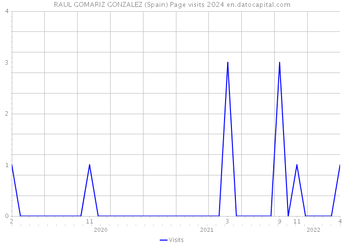 RAUL GOMARIZ GONZALEZ (Spain) Page visits 2024 